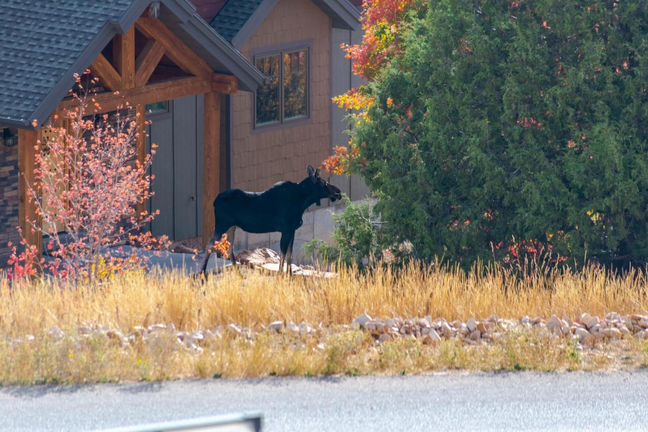 Hotel Bear Country Cabin #2 Saint Charles Exteriér fotografie